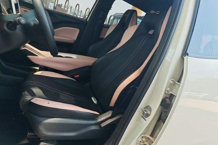 Used BYD Seagull 2023 Free Edition Left Front Seat
