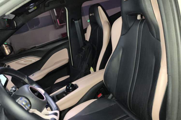 Used BYD Seagull 2023 Flying Edition Left Front Seat