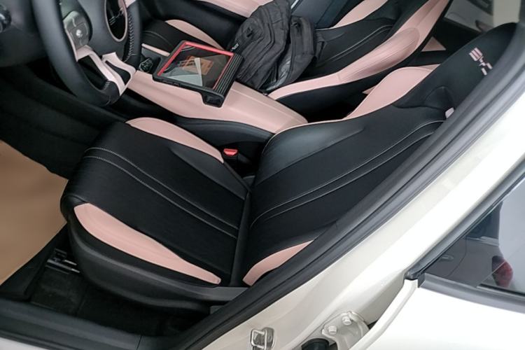 Used BYD Seagull 2023 Free Edition Left Front Seat