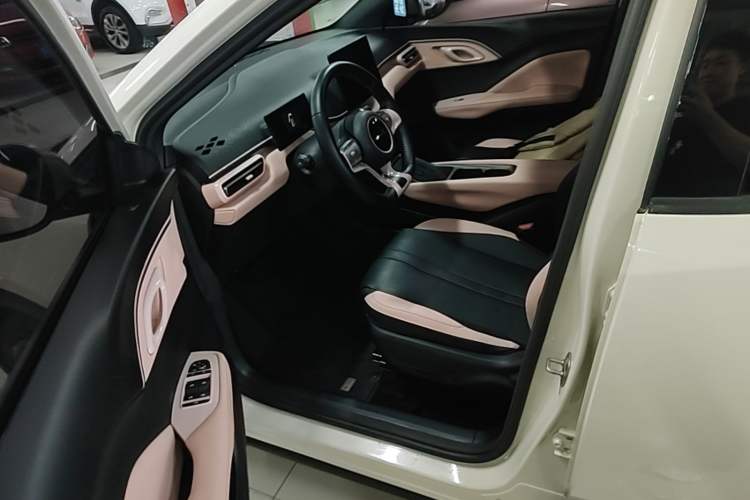 Used BYD Seagull 2023 Free Edition Left Front Seat