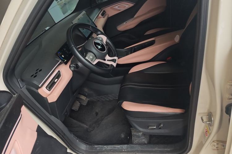 Used BYD Seagull 2023 Active Version Left Front Seat
