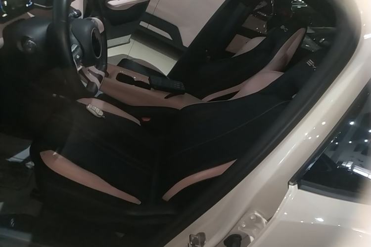 Used BYD Seagull 2023 Free Edition Left Front Seat