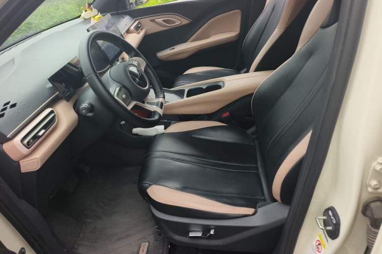 Used BYD Seagull 2023 Flying Edition Left Front Seat