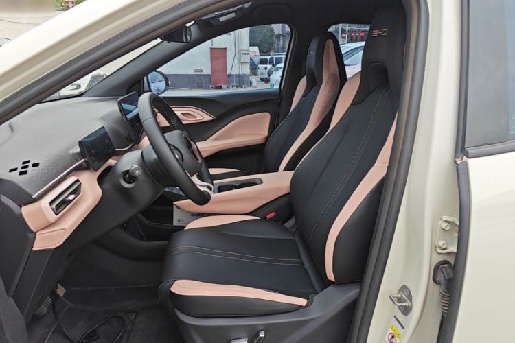 Used BYD Seagull 2023 Flying Edition Left Front Seat