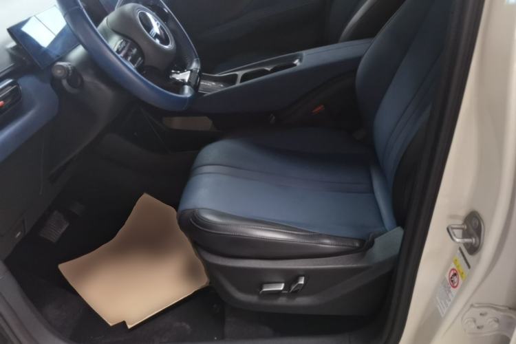 Used BYD Seagull 2023 Flying Edition Left Front Seat