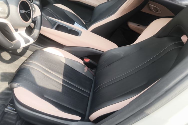 Used BYD Seagull 2023 Free Edition Left Front Seat