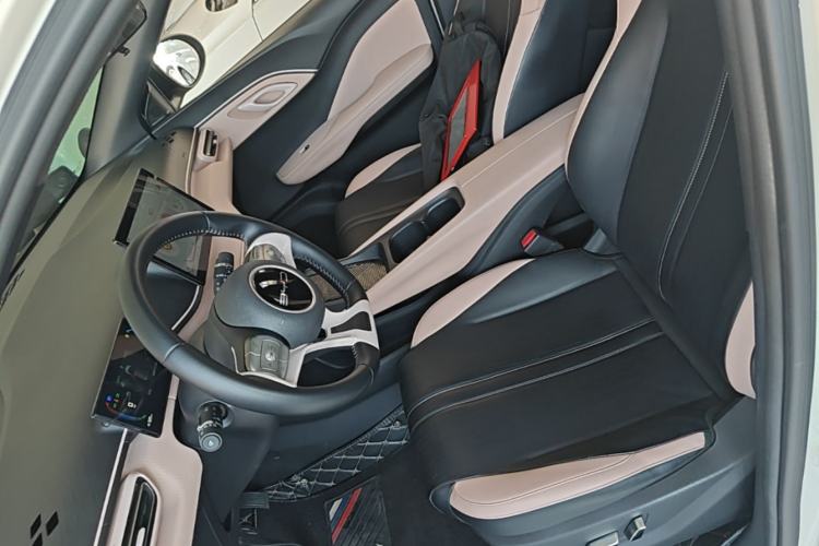 Used BYD Seagull 2023 Flying Edition Left Front Seat