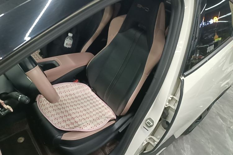 Used BYD Seagull 2023 Active Version Left Front Seat