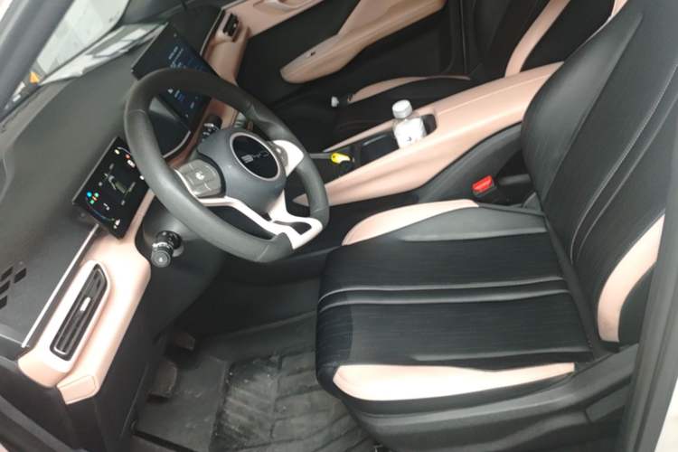 Used BYD Seagull 2023 Active Version Left Front Seat