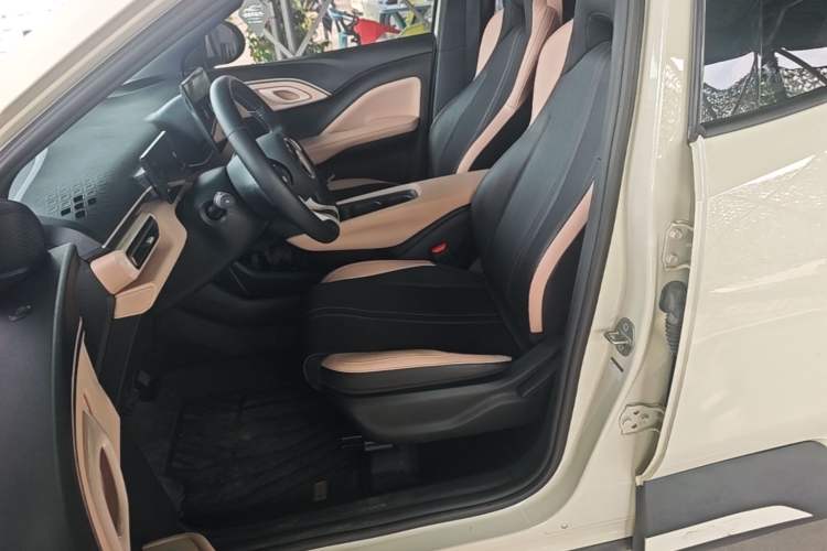 Used BYD Seagull 2023 Free Edition Left Front Seat