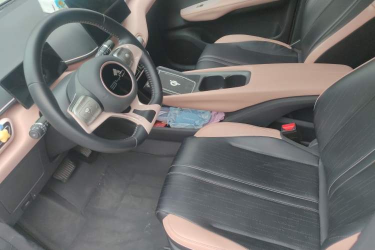 Used BYD Seagull 2023 Free Edition Left Front Seat
