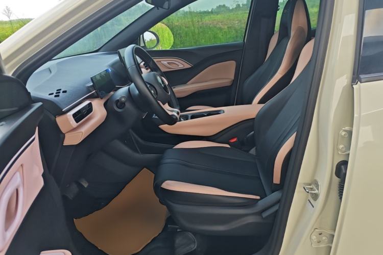 Used BYD Seagull 2023 Free Edition Left Front Seat
