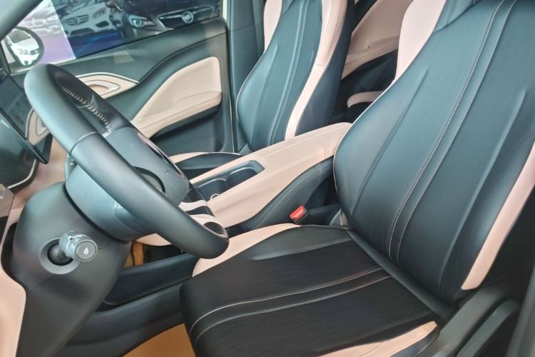 Used BYD Seagull 2023 Free Edition Left Front Seat