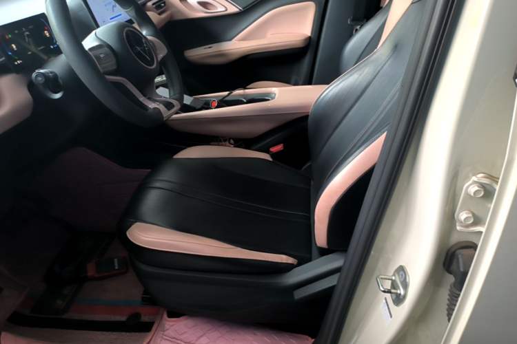 Used BYD Seagull 2023 Active Version Left Front Seat