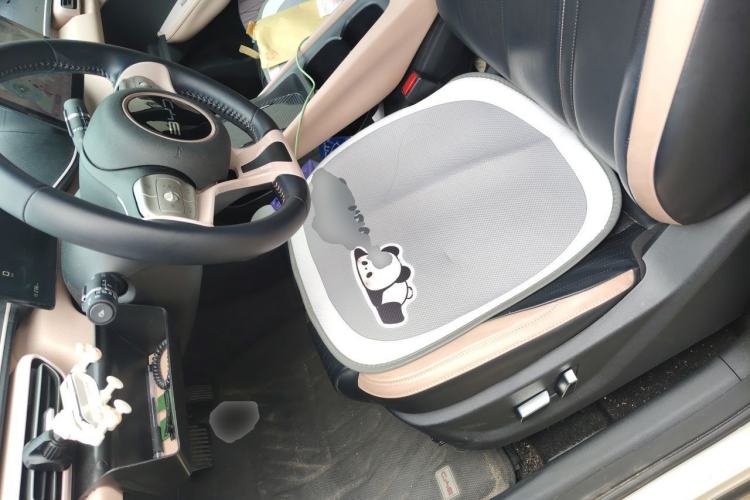Used BYD Seagull 2023 Flying Edition Left Front Seat
