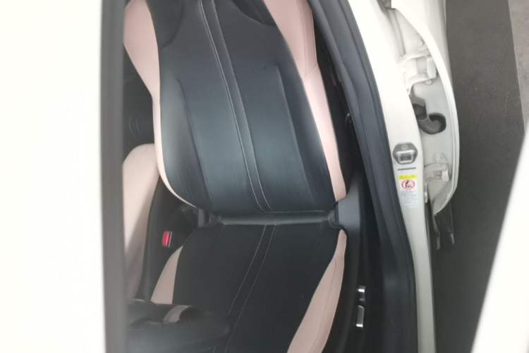 Used BYD Seagull 2023 Flying Edition Left Front Seat