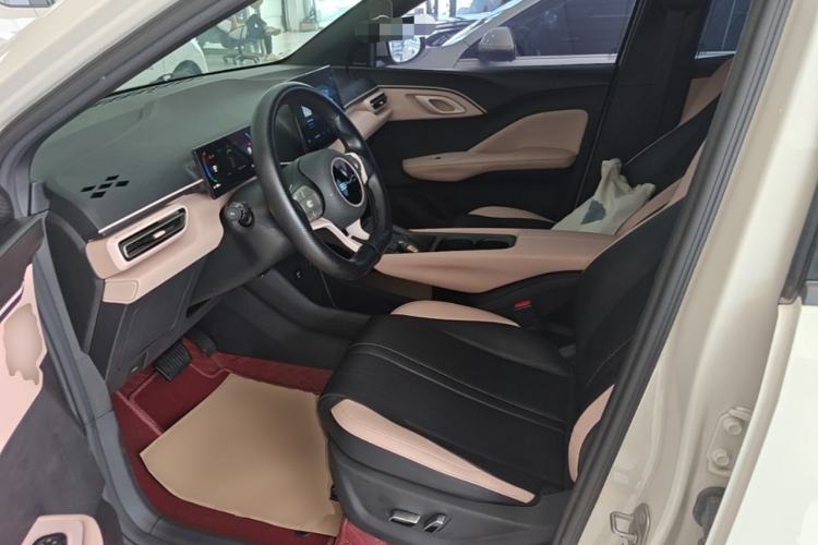 Used BYD Seagull 2023 Flying Edition Left Front Seat