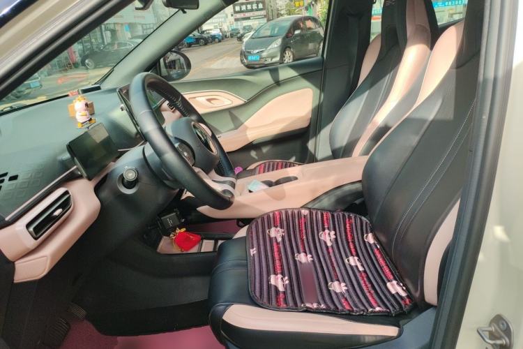 Used BYD Seagull 2023 Flying Edition Left Front Seat