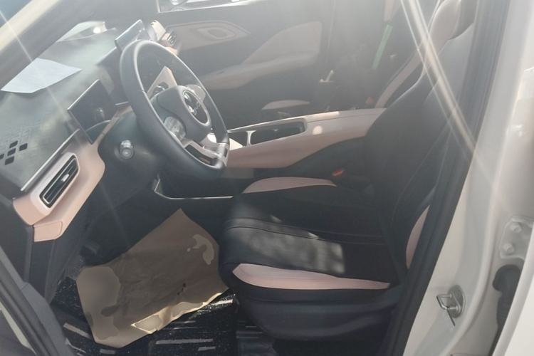 Used BYD Seagull 2023 Free Edition Left Front Seat