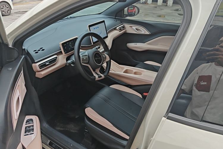 Used BYD Seagull 2023 Free Edition Left Front Seat