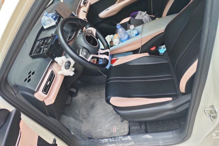 Used BYD Seagull 2023 Free Edition Left Front Seat