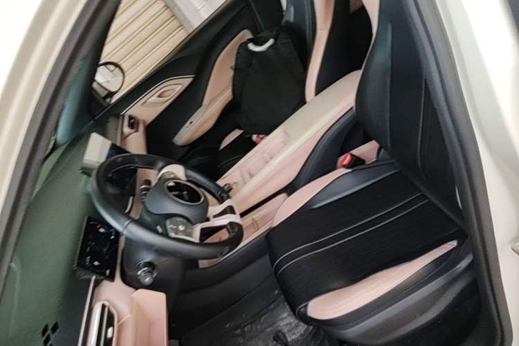 Used BYD Seagull 2023 Free Edition Left Front Seat