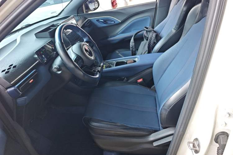 Used BYD Seagull 2023 Free Edition Left Front Seat
