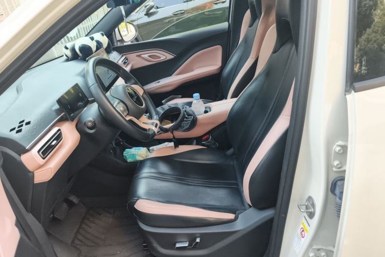 Used BYD Seagull 2023 Flying Edition Left Front Seat