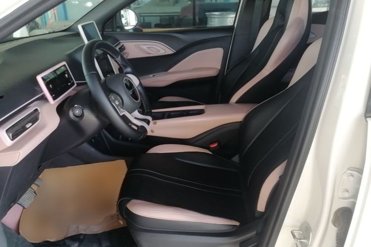 Used BYD Seagull 2023 Free Edition Left Front Seat