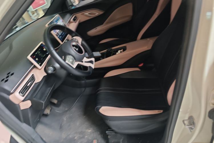 Used BYD Seagull 2023 Free Edition Left Front Seat