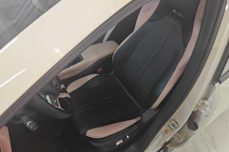 Used BYD Seagull 2023 Flying Edition Left Front Seat