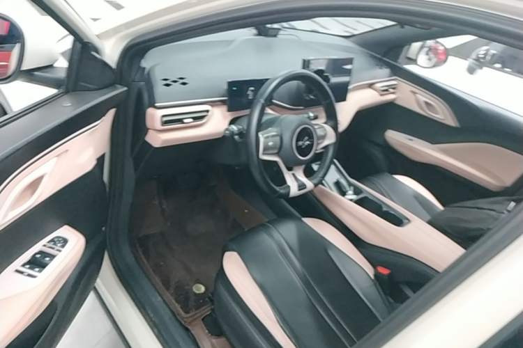 Used BYD Seagull 2023 Free Edition Left Front Seat