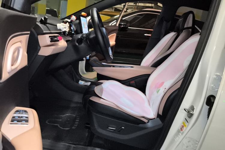 Used BYD Seagull 2023 Flying Edition Left Front Seat