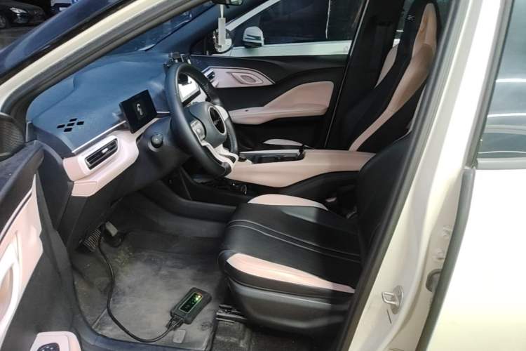 Used BYD Seagull 2023 Free Edition Left Front Seat