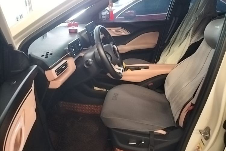Used BYD Seagull 2023 Flying Edition Left Front Seat