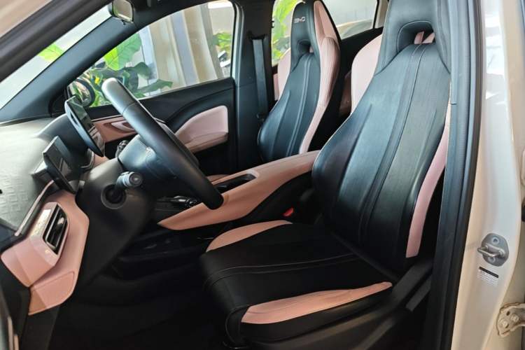 Used BYD Seagull 2023 Free Edition Left Front Seat