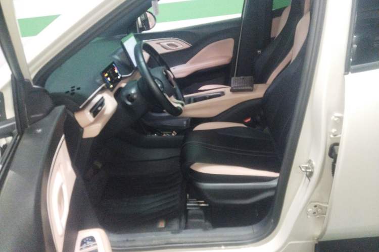 Used BYD Seagull 2023 Free Edition Left Front Seat