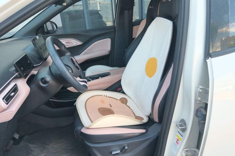 Used BYD Seagull 2023 Flying Edition Left Front Seat