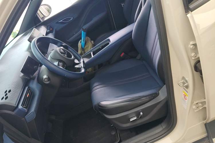 Used BYD Seagull 2023 Flying Edition Left Front Seat