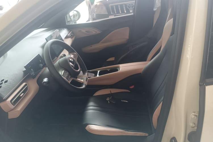 Used BYD Seagull 2023 Free Edition Left Front Seat