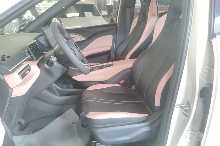 Used BYD Seagull 2023 Active Version Left Front Seat