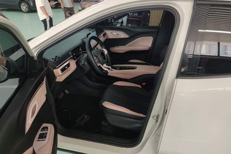 Used BYD Seagull 2023 Free Edition Left Front Seat