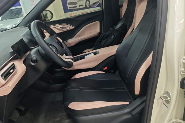 Used BYD Seagull 2023 Free Edition Left Front Seat