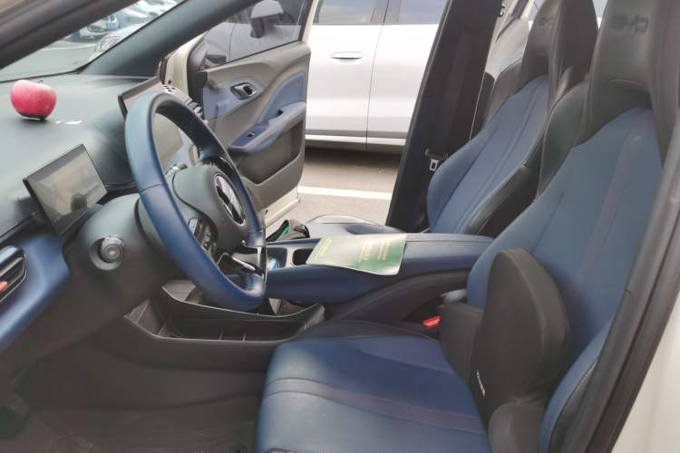 Used BYD Seagull 2023 Free Edition Left Front Seat