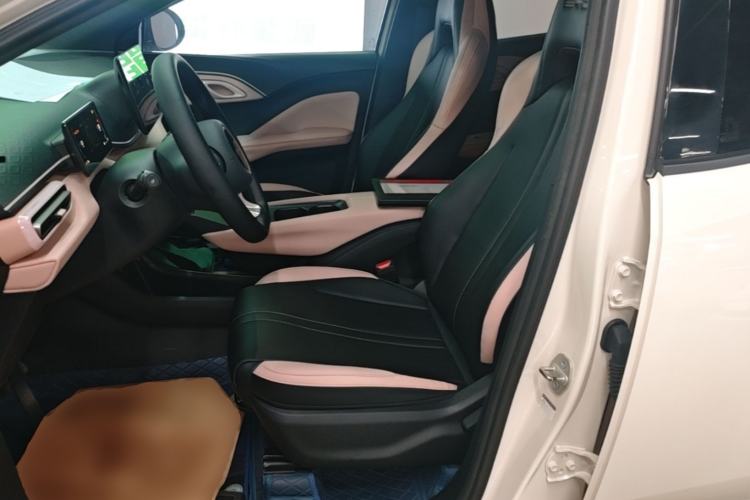 Used BYD Seagull 2023 Active Version Left Front Seat