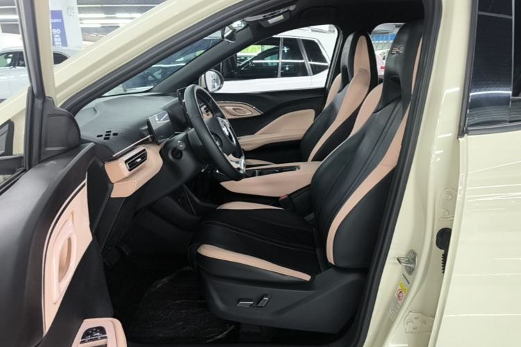 Used BYD Seagull 2023 Flying Edition Left Front Seat