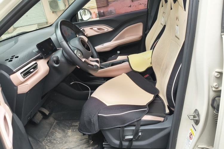 Used BYD Seagull 2023 Flying Edition Left Front Seat