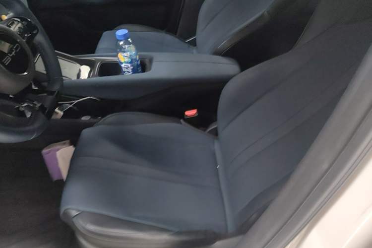 Used BYD Seagull 2023 Free Edition Left Front Seat