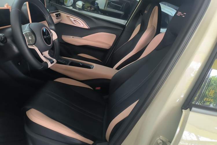 Used BYD Seagull 2023 Flying Edition Left Front Seat