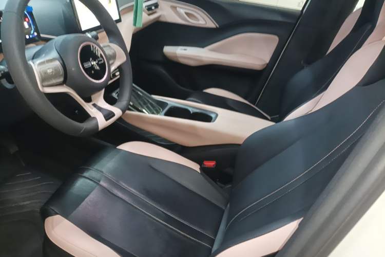 Used BYD Seagull 2023 Active Version Left Front Seat